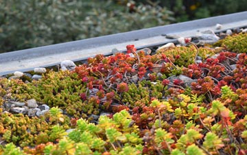 the cost of Naburn green roof installation